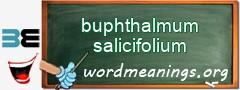 WordMeaning blackboard for buphthalmum salicifolium